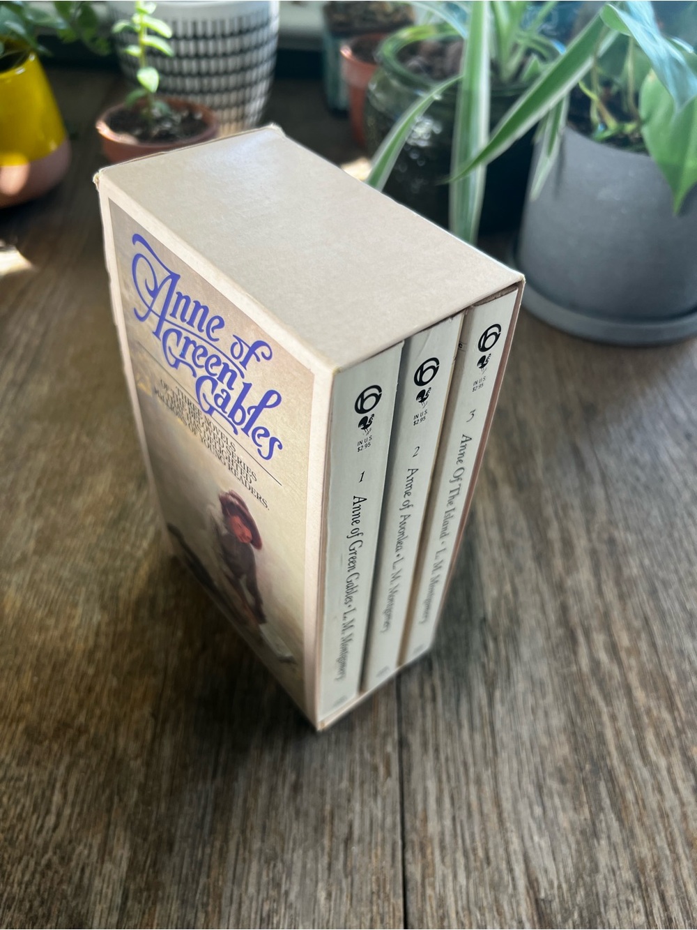 Vintage Anne of Green Gables Boxed Book Set in Beige